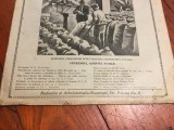 Revista Drumul Nou anul III nr 13 din 15 iulie 1933 !