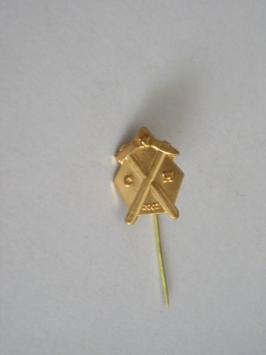 QW9 I 97 - Insigna - tematica industrie - inscriptia CNH 2002 foto
