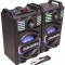 Set 2 boxe karaoke 700W Bluetooth, microfon