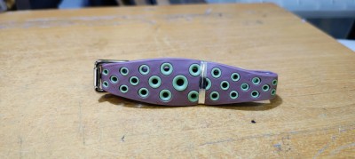Dog Collar #A7522 foto