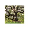 Wise Trees