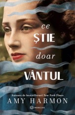 Ce stie doar vantul (resigilat) - Editura Altele