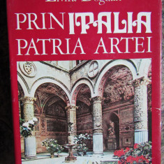 PRIN ITALIA PATRIA ARTEI-ELVIRA BOGDAN