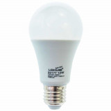 Bec LED LOHUIS, forma A60, AC/DC 12V-42V, E27, 12W, 25000 ore, 6500K