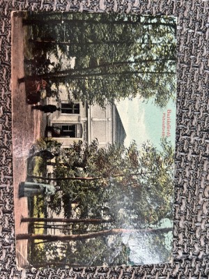AKVDE24 - Buzias - Parcul foto