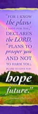 Bookmark - I Know the Plans Jer 29: 11 foto