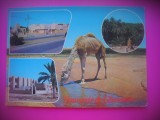 HOPCT 6583 GHARDAIA -ALGERIA -AFRICA-CIRCULATA, Printata