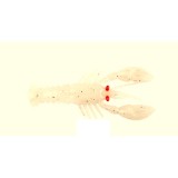Mezashi Rock Lobster 7.5cm 6g Pearl White, Mustad