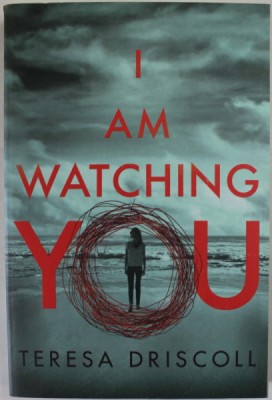 I AM WATCHING YOU by TERESA DRISCOLL , 2017 foto