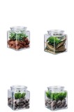 Cumpara ieftin Set 4 plante suculente artificiale in borcan 10 x 10 x 13 cm