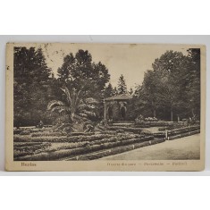 BUZIAS , O PARTE DIN PARC , CARTE POSTALA , 1934