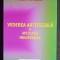 Vederea artificială &icirc;n aplicații industriale - Dan Popescu