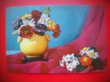 HOPCT 5381 FLORI DIN MATASE -CHINA -NECIRCULATA