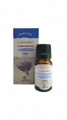 Ulei esen?ial organic Kateko, Lavanda, 10 ml foto