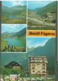 CPI B14144 CARTE POSTALA - MASIVUL FAGARAS, MOZAIC