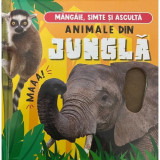 Animale din junglă - Hardcover - Flamingo