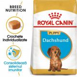 Cumpara ieftin Royal Canin Dachshund Puppy hrana uscata caine junior Teckel, 1.5 kg