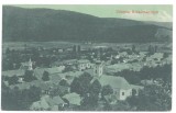 4248 - BOCSA MONTANA, Caras Severin, Panorama, Romania - old postcard - used - 1918