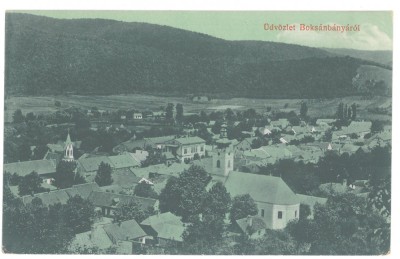 4248 - BOCSA MONTANA, Caras Severin, Panorama, Romania - old postcard - used - 1918 foto