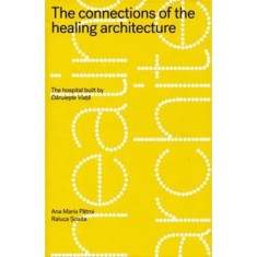 The connections of the healing architecture. The hospital built by Daruieste Viata - Ana Maria Patroi, Raluca Soaita