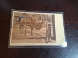 Carte postala alb negru , Hannover , Gradina Zoologica - Circulata