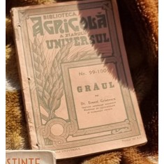 Graul - Ernest Grintescu