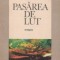 Pasarea de lut