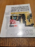 TEHNOLOGIE INFORMATIEI - Anca Elena Voicu, Robert Aurelian Sova - 2001, 144 p., Clasa 10, Informatica, Manuale