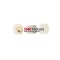 Role variator 14x14 Piaggio Ciao/Bravo/Si RMS