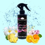 Cumpara ieftin Spray Odorizant Profesional Terme Minerale, Parfum Ambiental Camera, Tesaturi, Uz Profesional, Note Florale &amp; Lemn, Neutralizare Mirosuri