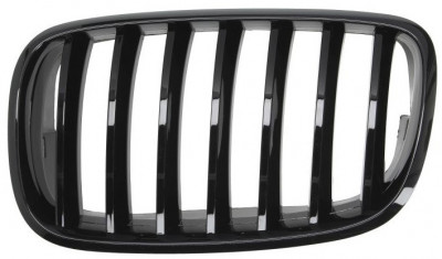 Grila Radiator Stanga Blic Bmw X5 E70 2007-2010 M-Packet 6502-07-0096993PP foto