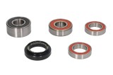 Cumpara ieftin Kit rulment roata Spate (cu garnitura) pentru HONDA ST 1300 2002-2013