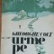 GHEORGHE COLT - URME PE ZAPADA