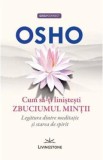 Cum sa-ti linistesti zbuciumul mintii - Osho