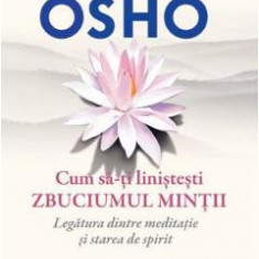 Cum sa-ti linistesti zbuciumul mintii - Osho