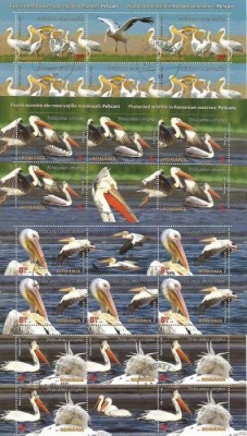 ROMANIA 2015 &amp;ndash; WWF Pelicani, Minicoli stampilate, EW3 foto