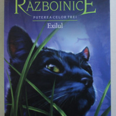 PISICILE RAZBOINICE - EXILUL CARTEA a - XV - a de ERIN HUNTER , 2019