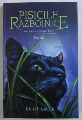 PISICILE RAZBOINICE - EXILUL CARTEA a - XV - a de ERIN HUNTER , 2019 foto