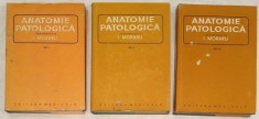 Anatomie patologica vol I, II, III, de I. Moraru 1980 foto