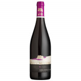 Vin Rosu Demidulce Noir Cramele Recas Castle Huniade, 13.5%, 0.75 L, Vin Rosu Demidulce, Vinuri Rosii, Vinuri Demidulce Rosii Merlot/Pinot Noir, Vin R