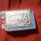 Insigna URSS - Capitale ale Statelor Uniunii Sovietice - KIEV , metal si email , dim. =3,4x2cm