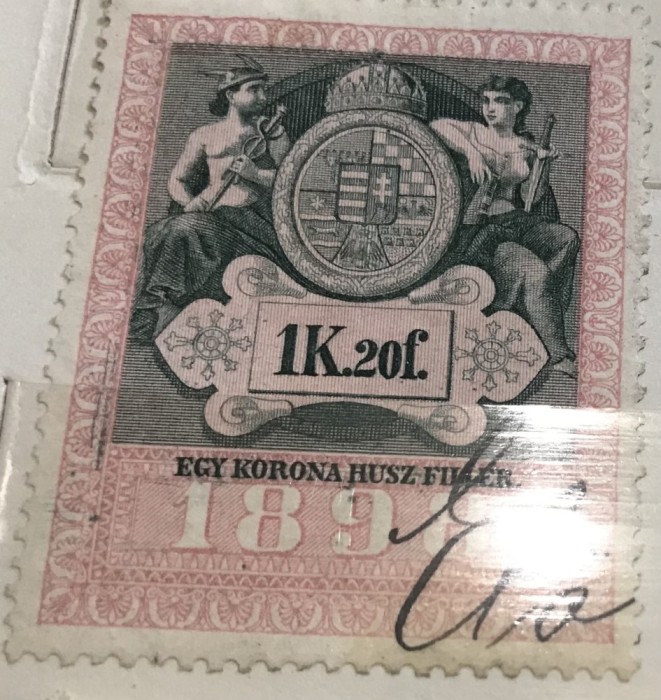 Timbre Austroungaria 1898 1 Koroana si 20 Filler
