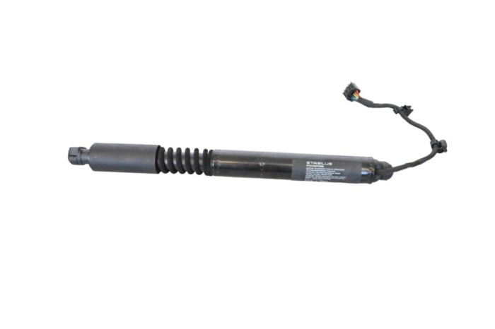 Balama ușă st&acirc;nga spate TESLA MODEL X 2019 OEM: 1063441-00-C 25206564
