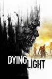 Dying Light Hellraid Dlc Key