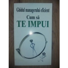 Ghidul managerului eficient Cum sa te impui