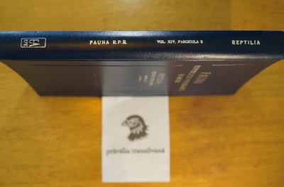 Fauna RPR, Reptilia (Testoase, Sopirle, Serpi) - Ion Eduard Fuhn foto