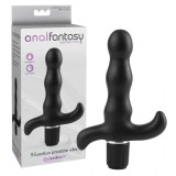 Vibrator Prostata, Anal Fantasy, 9 Functii#