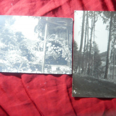 2 Ilustrate- Fotografii , anii '20, una Foto Leonar , a 2a cu intepaturi in colt