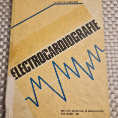 Electrocardiografie Georgeta Scripcaru