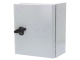 Carcasă montare pe perete SCHNEIDER ELECTRIC 250mm x 300mm x 150mm oţel IP66